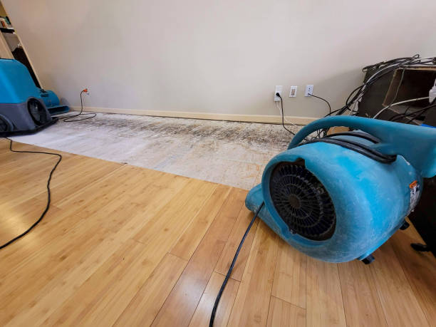 Professional Burst Pipe Water Damage technician working in Orleans, IN